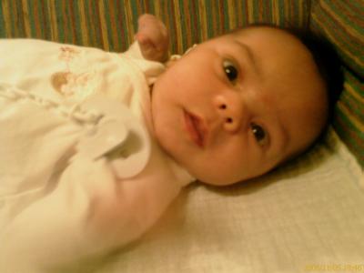 Foto 05-11-08